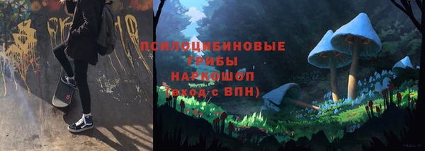 хмурый Мегион