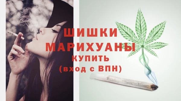 хмурый Мегион