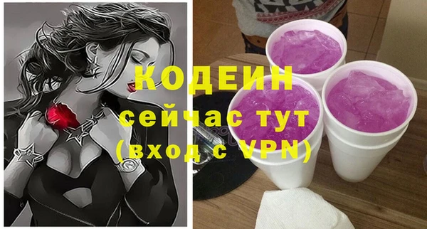 хмурый Мегион